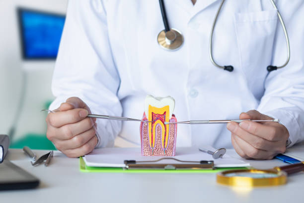 Best Cracked Tooth Emergency Dentist  in Oakland, MD